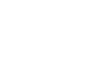 Mavericks Surf Company logo
